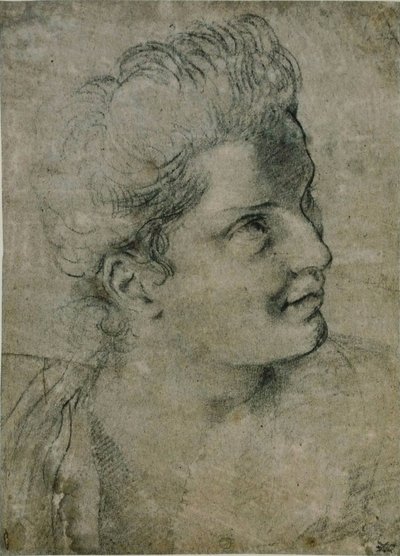 Head of a Woman by Annibale Carracci